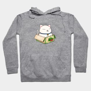 White Chubby Cat in Watermelon Box Hoodie